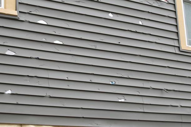 Affordable siding repair and maintenance services in Craig, AK