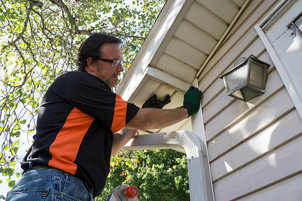 Best Residential Vinyl Siding Installation  in Craig, AK